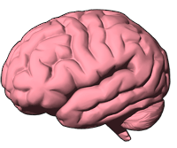 Brainworms
